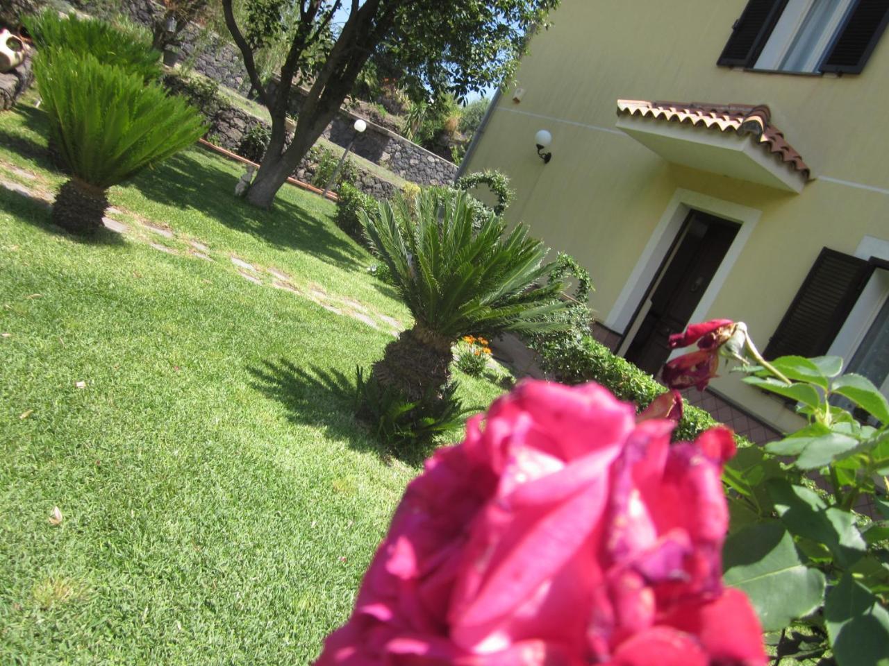 B&B Boutique Di Charme "Etna-Relax-Natura" 제프라나에트니아 외부 사진