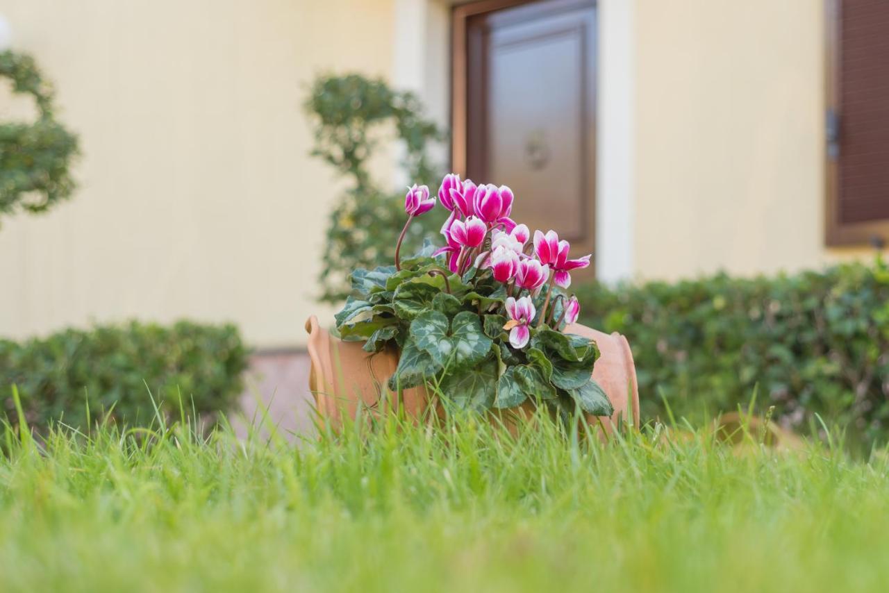 B&B Boutique Di Charme "Etna-Relax-Natura" 제프라나에트니아 외부 사진